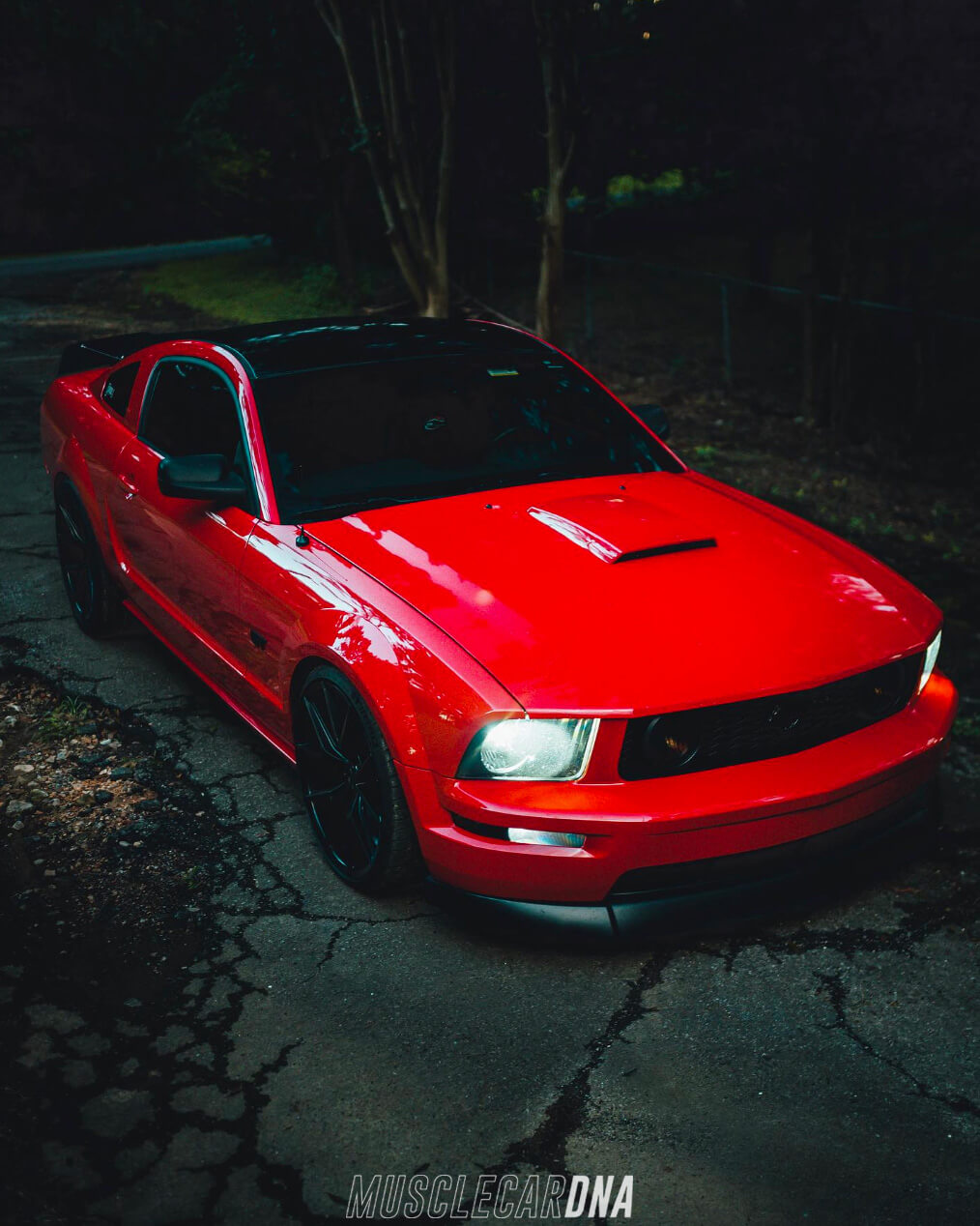Whipple supercharged Ford Mustang s197