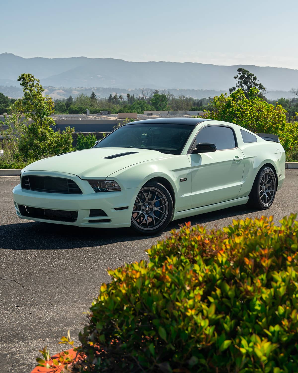 Clean 2014 Ford Mustang GT in Eye-Catching Pistachio Wrap