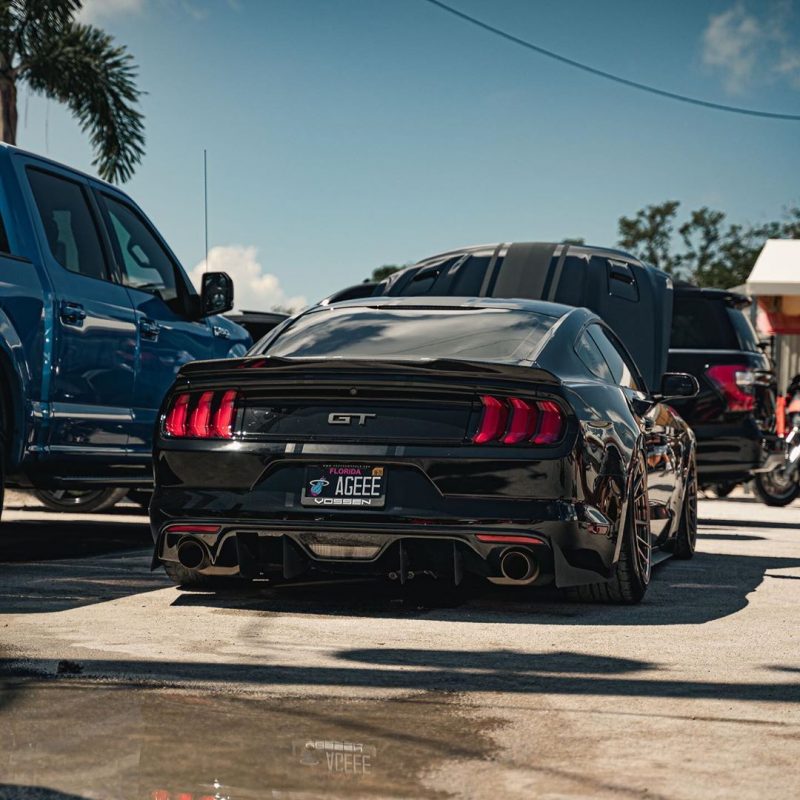 Lady Driven - Slammed Ford Mustang GT With Whipple Supercharger ...