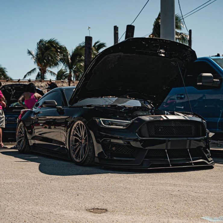 Lady Driven - Slammed Ford Mustang Gt With Whipple Supercharger 