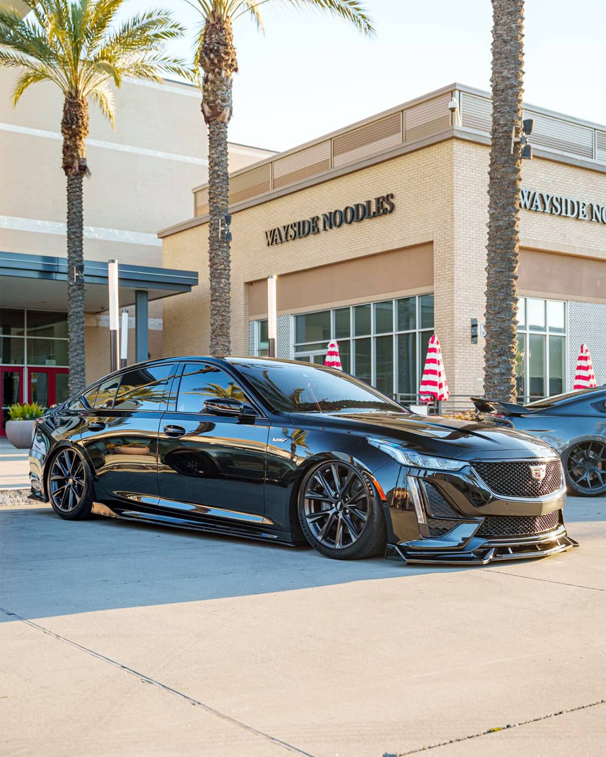 Blacked out Cadillac CT5-V blackwing stanced