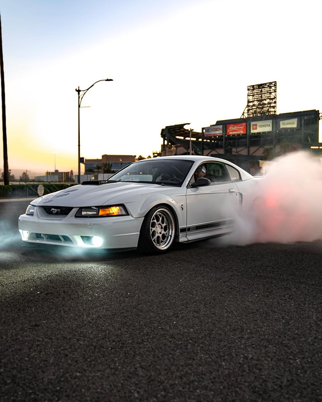 2003 Ford Mustang Mach 1 New Edge Burnout