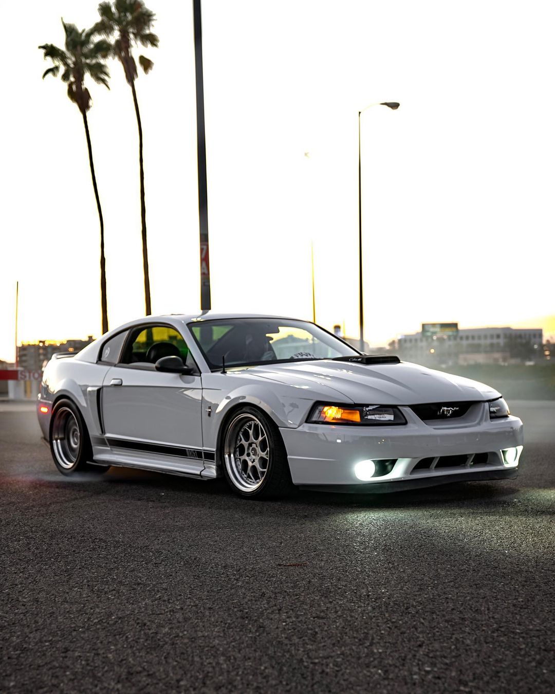 Lowered 2003 Ford Mustang Mach 1 on BC Coilovers and BMR sway bar