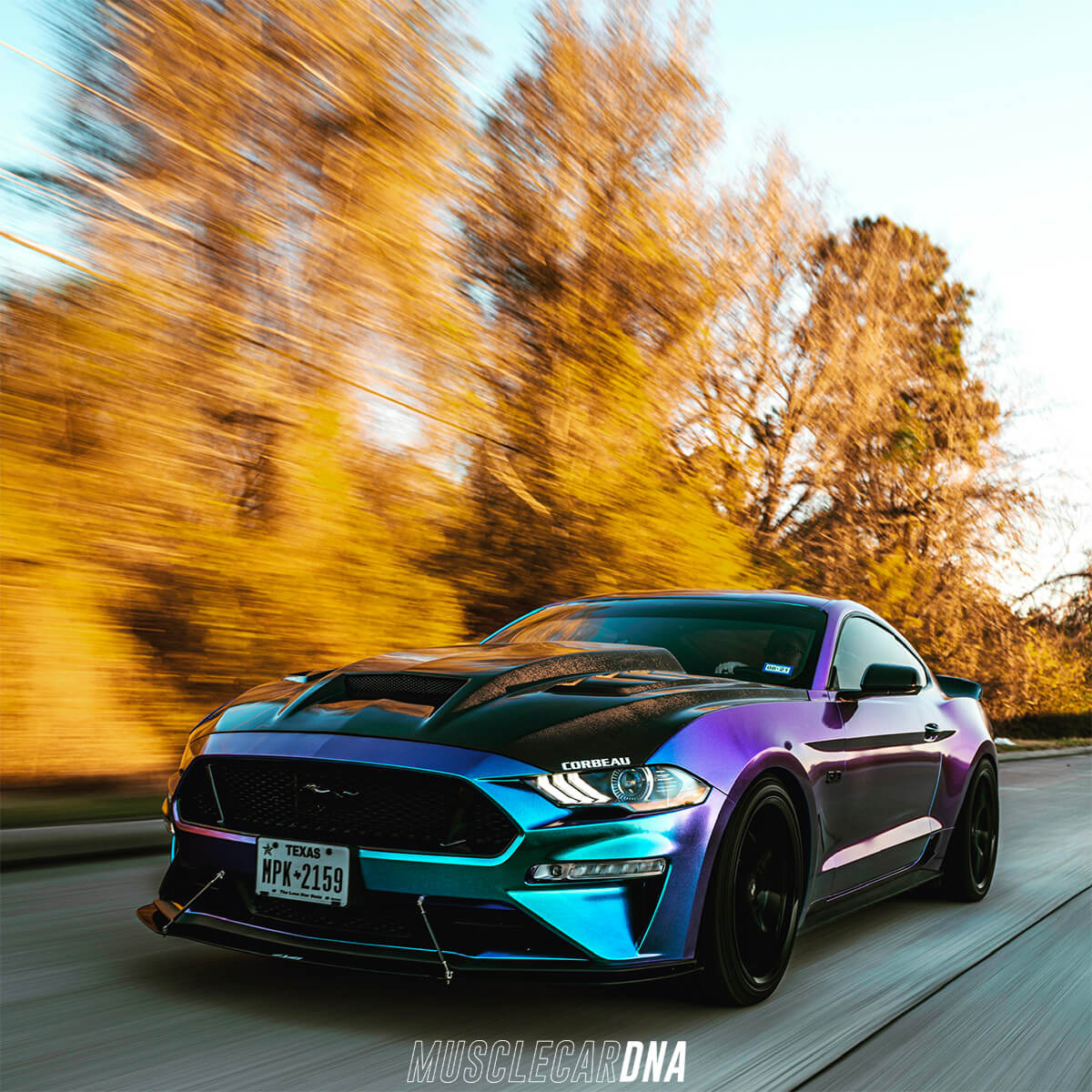 The Perfect Ford Mustang S550 Build - Bags, Exterior & Performance Mods