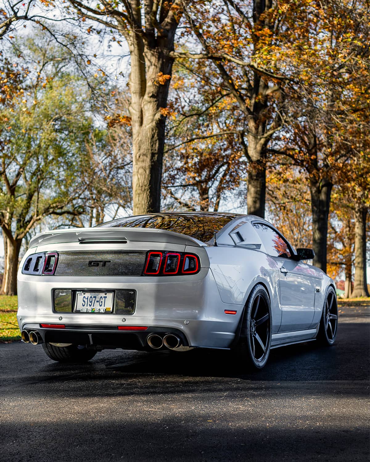 Ford Mustang GT500 Valance for Quad exhaust