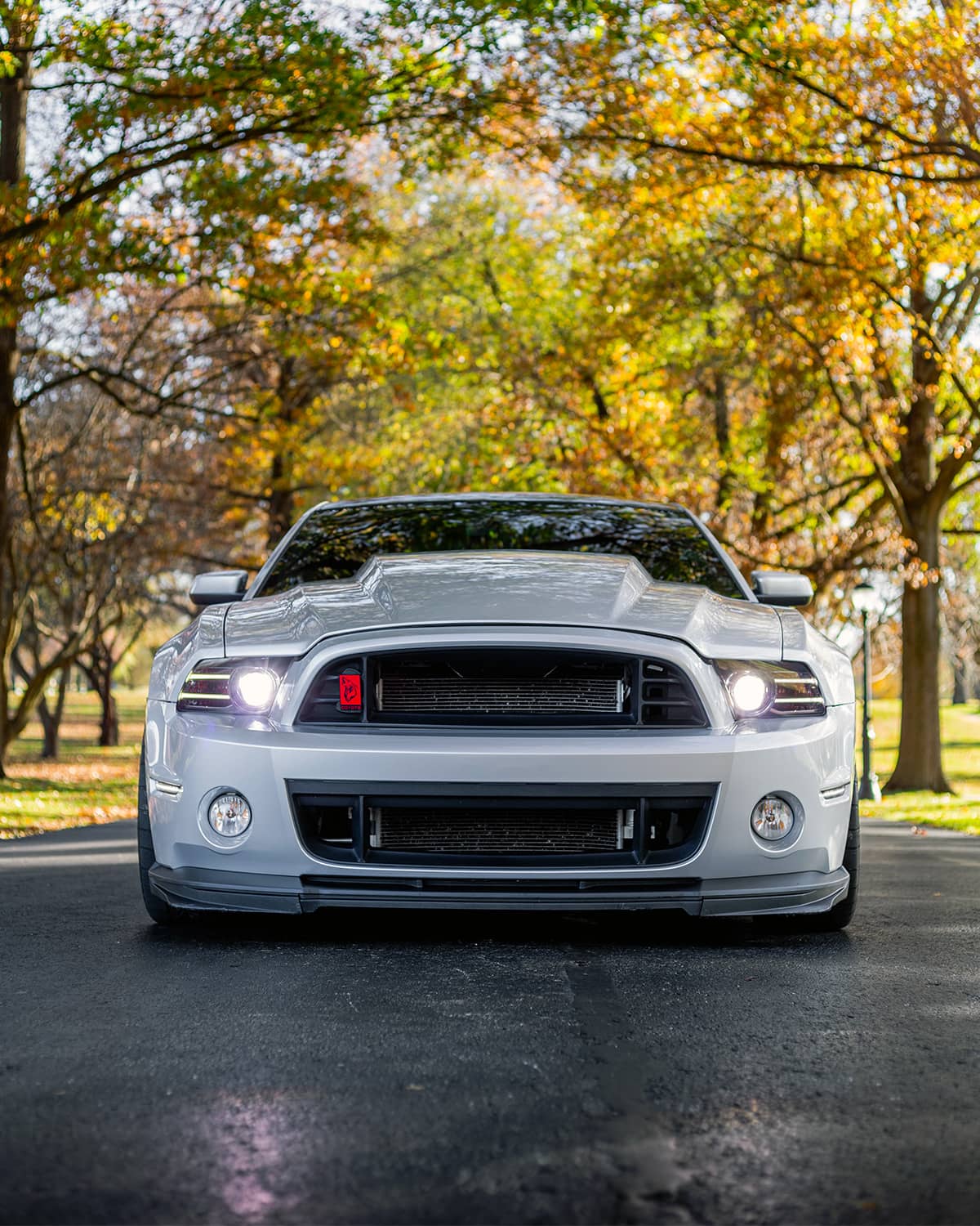 Ford Mustang Shelby GT500 black grille and cowl hood