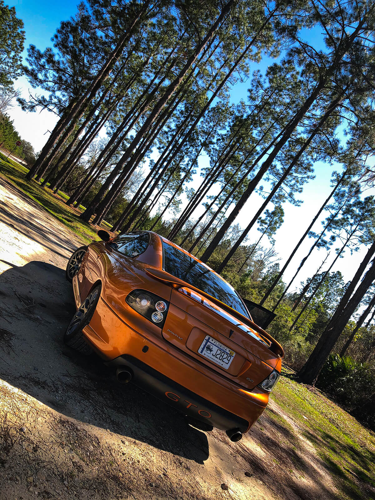 Factory Brazen Orange Metallic paint: 1 of 484 Orange GTO’s with Manual transmission option